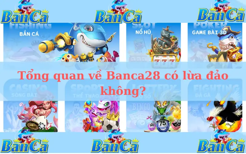 Tổng quan về Banca28 có lừa đảo không?