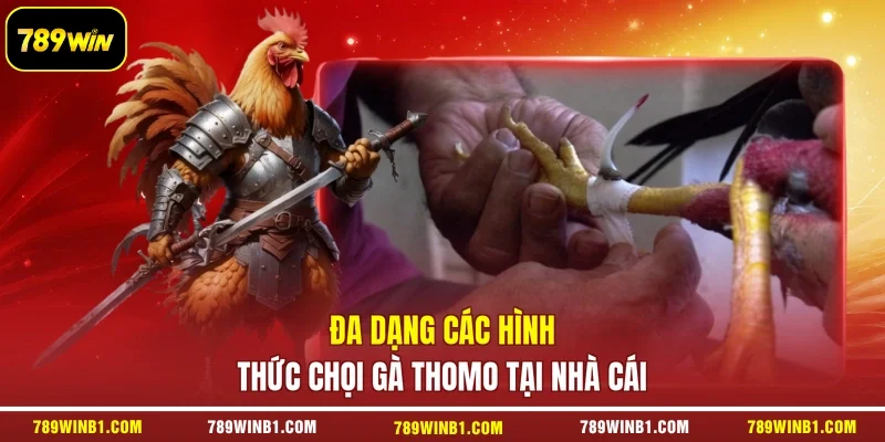 Đa dạng các hình thức chọi gà Thomo tại nhà cái